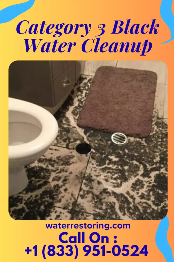Category 3 Black Water Cleanup in Newburgh Heights, OH